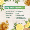 Load image into Gallery viewer, TrueSeaMoss Organic Sea Moss Raw Wild Crafted Seamoss Raw - 100% Organic Irish Sea Moss Raw - Dried Sea Moss Advanced Drink - Clean and Sundried - Vegan Sea Moss (1Pound) (16oz)